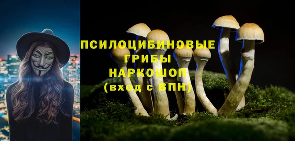 винт Армянск