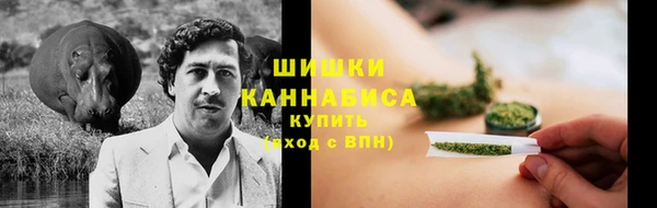 винт Армянск