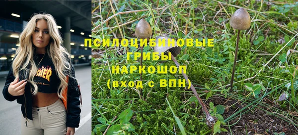 винт Армянск