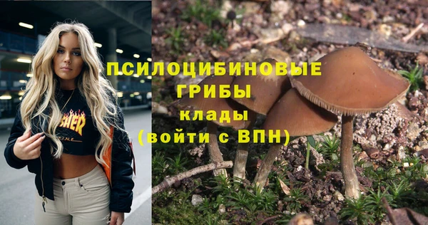 mdpv Арсеньев